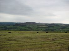 IMG_2711.JPG