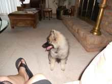DSCN0470.JPG
