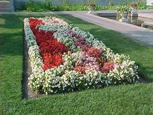 garden10