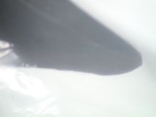 DSC00287.JPG