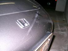 scratch01.JPG