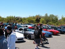 IMG 0619