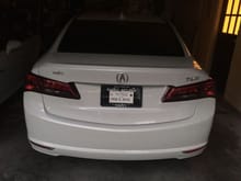 TLX1