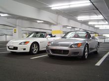 DSC00355.JPG