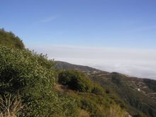 P1010013.JPG