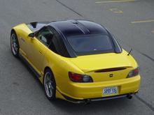 speedfreak rear.jpg