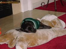 Dsc00302.jpg