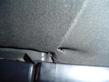 wtf2 (Small).jpg