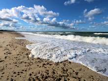 Sandy Neck Beach