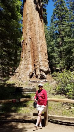 Me and a tree.