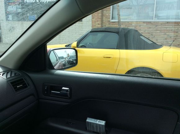 Spotted yesterday around 3pm near the new casino in Springfield Ma.
