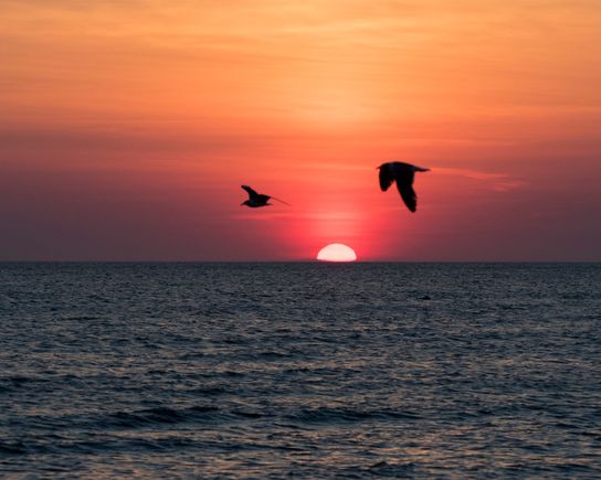 Sunset near Cape May, NJ