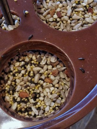 The special blend I bought at a feed store in Fort Collins, CO.