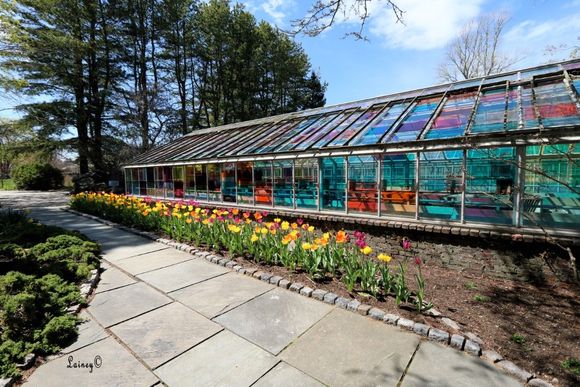 The colored panes were an art project