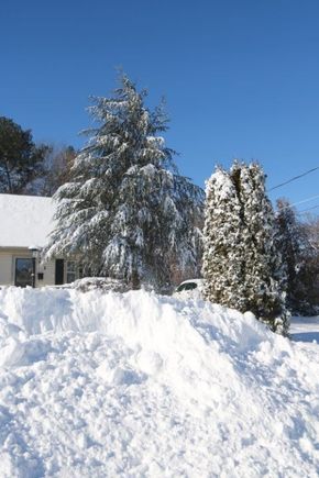 Yep, snow!