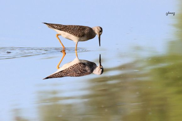 Good thing the signature is there so if it is ever sold it won't get hung upside down.