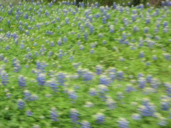 106_0617.JPG