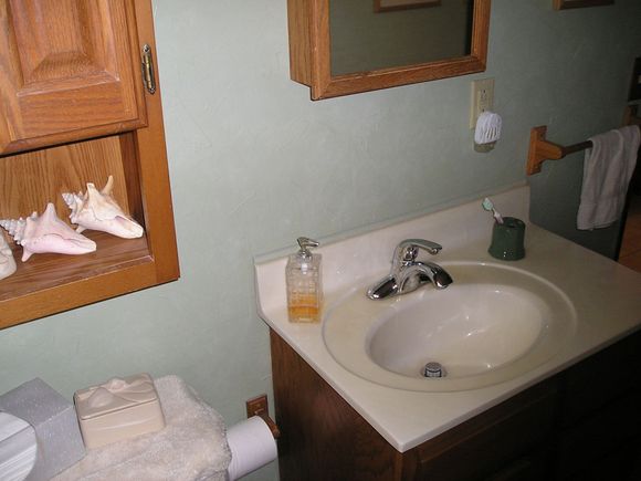 downstairs bathroom.JPG