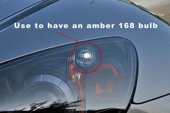 amber_050804_show.jpg