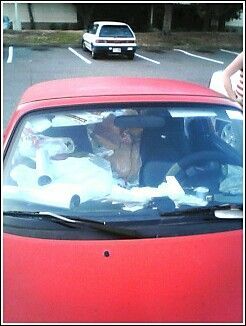 new race car?