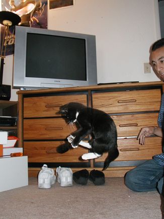 P1010012.JPG