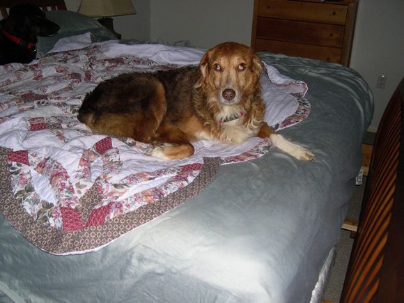 DarwinFlorida2004.jpg