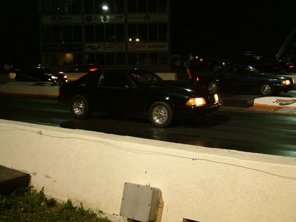 2 mustangs.JPG
