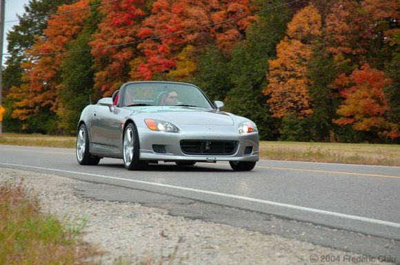 DSC_0288-vi.jpg