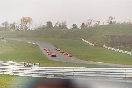 Reds on road.JPG