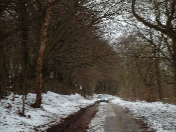 Xmas 2004 31.JPG