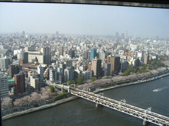 Tokyo 4/10/05