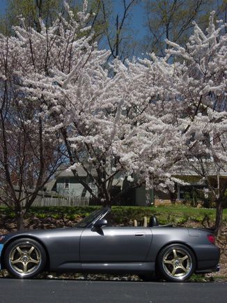 S2000 - April '05 007.jpg