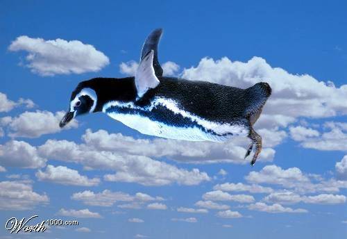 flying