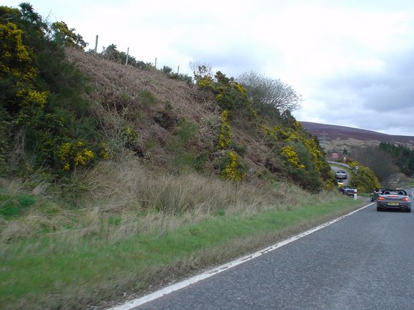 DSC02011.JPG