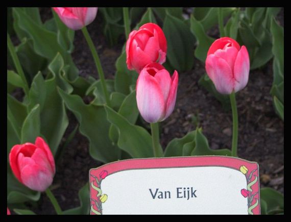 vaneijk.jpg