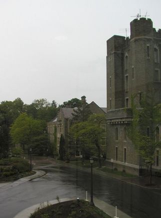 Cornell 1.JPG