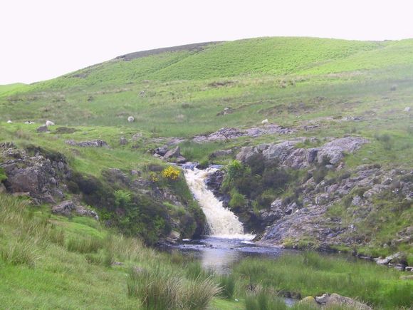 Par0014.JPG