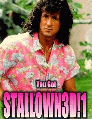 stallowned8ed.jpg