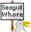 seagull