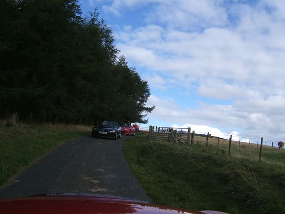 DSCF0475.JPG