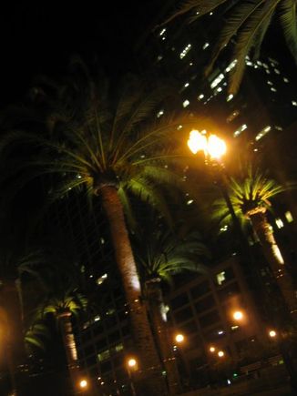 Picture 123.jpg