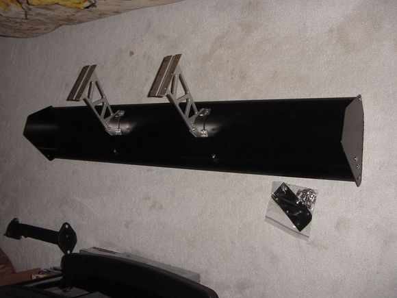 wing1.JPG