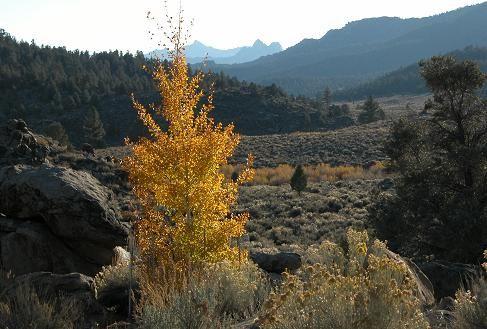 051022 view 4124.JPG