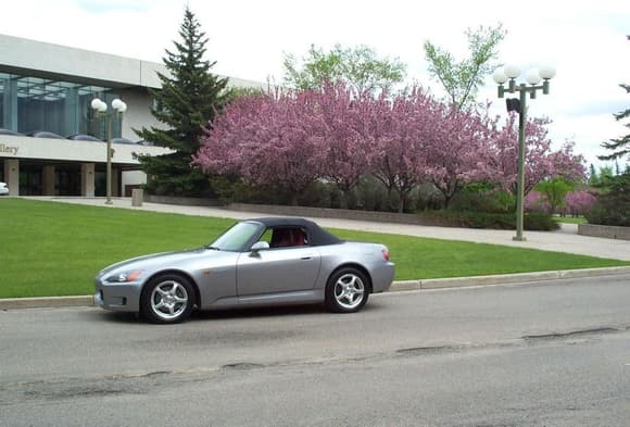 HondaGal's Silver/Red S2000