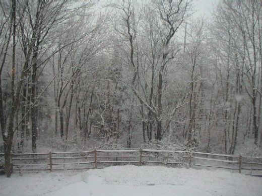 PICT0002s.JPG