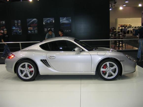 Cayman.jpg