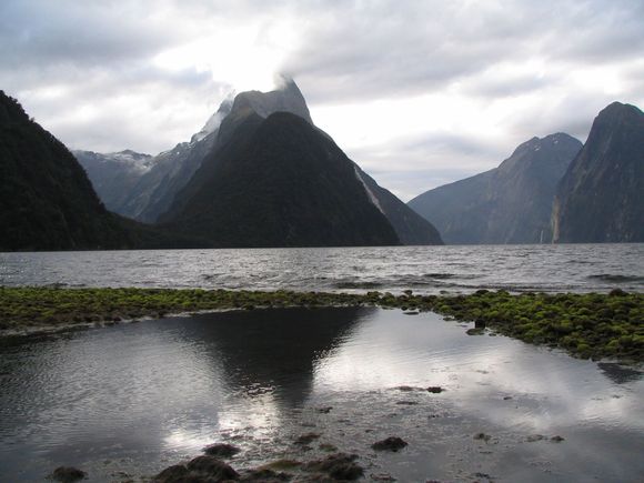 Milford Sound Reflections