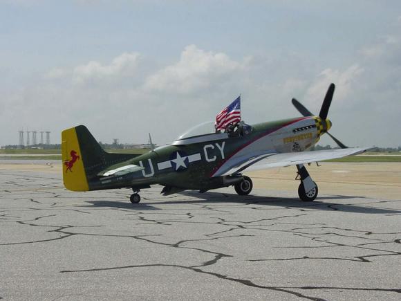 Mustang Side.jpg