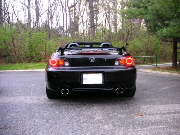 rear.jpg