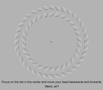 Freaky.jpg